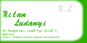 milan ludanyi business card